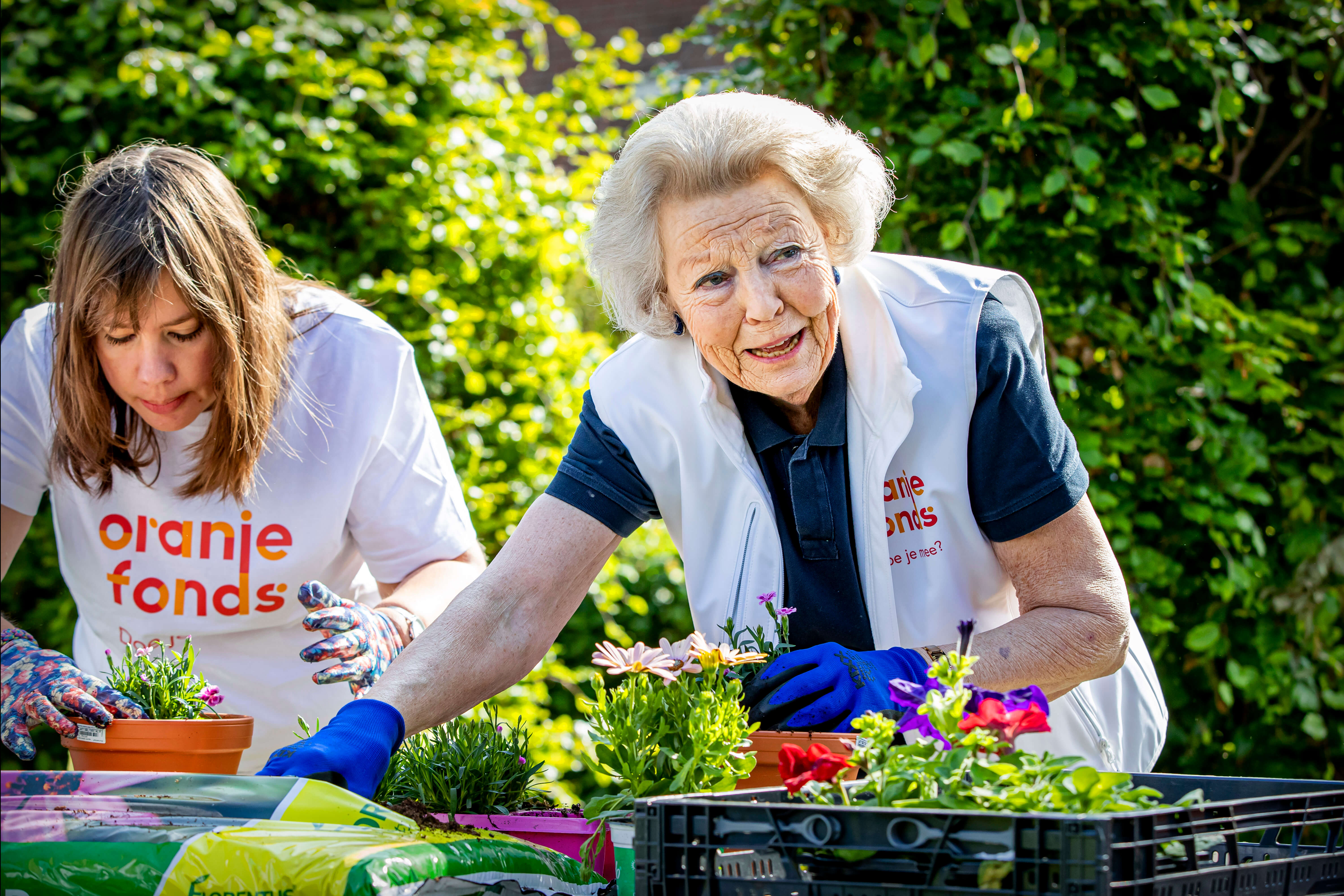 Prinzessin Beatrix packt beim Freiwilligentag „NL Doet“ mit an