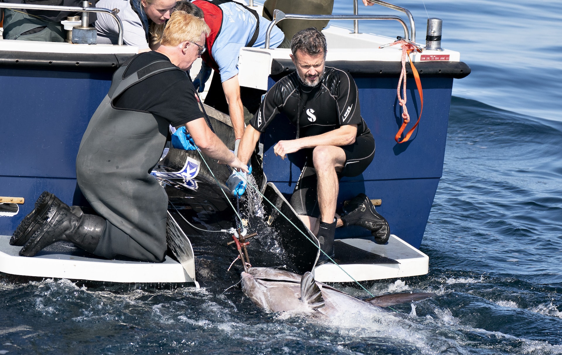 Kronprinz Frederik hilft den Thunfischen – News Royals