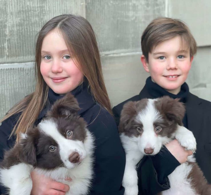 Josephine & Vincent von Dänemark: Neue Fotos freuen Hundefans