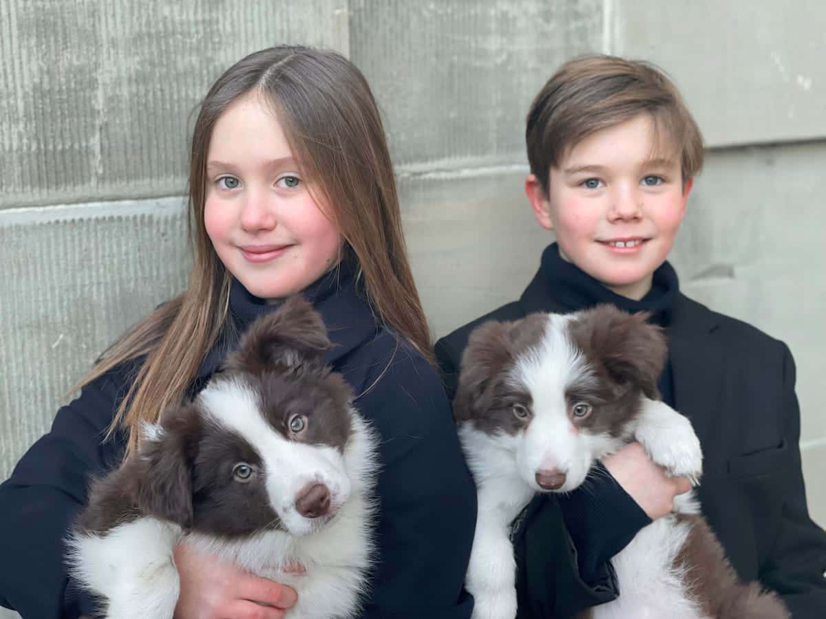 Josephine & Vincent von Dänemark: Neue Fotos freuen Hundefans