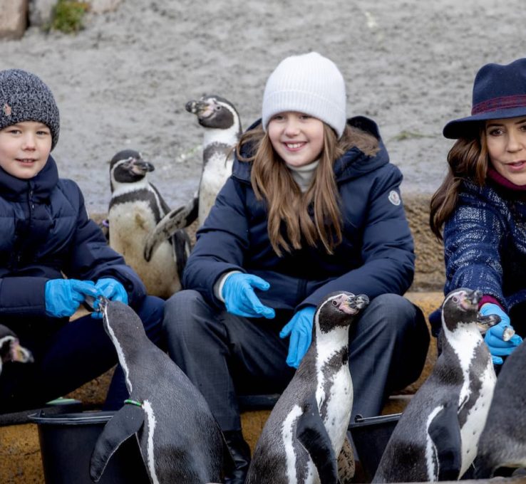 Kronprinzessin Mary und ihre Zwillinge: Auf Tuchfühlung mit Pinguinen