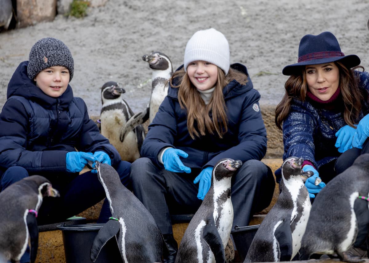 Kronprinzessin Mary und ihre Zwillinge: Auf Tuchfühlung mit Pinguinen