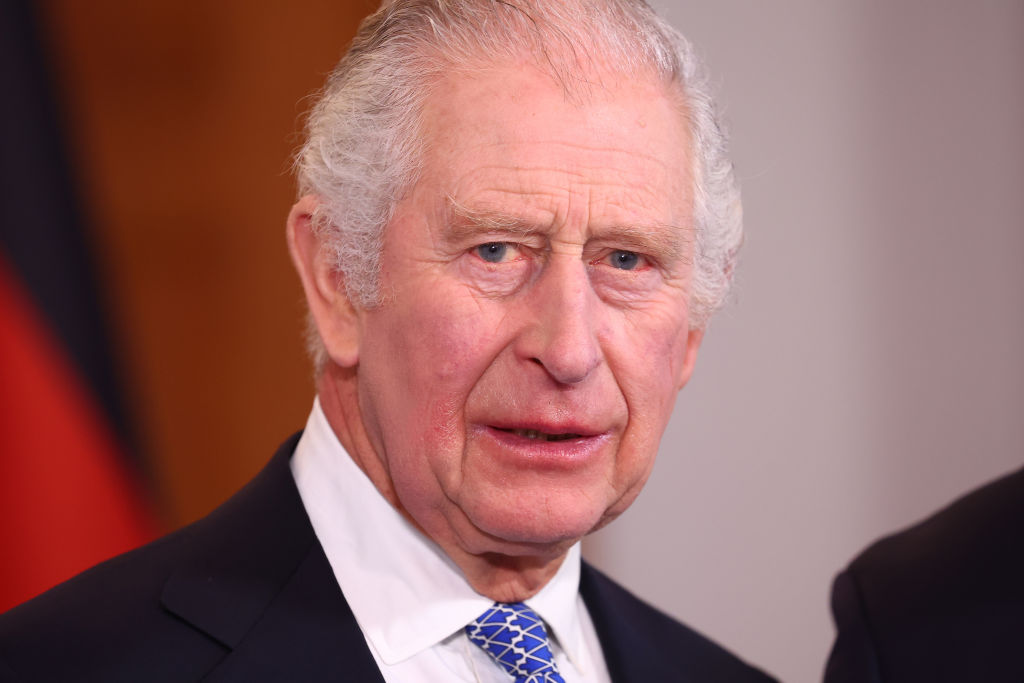 König Charles hat sein erstes Porträt als neuer Monarch veröffentlicht.