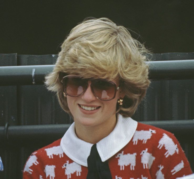 Prinzessin Diana mit Pullover Schwarzes Schaf