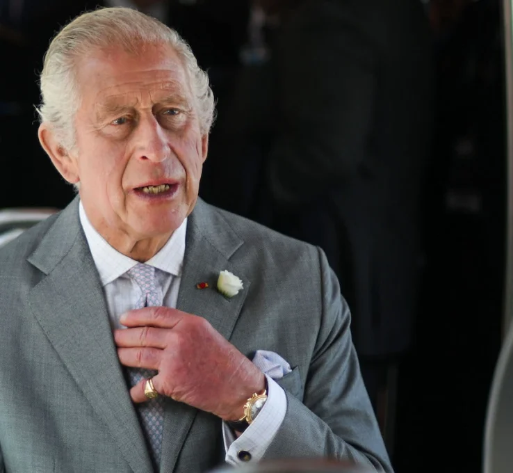 König Charles: Erneute Proteste gegen den Royal