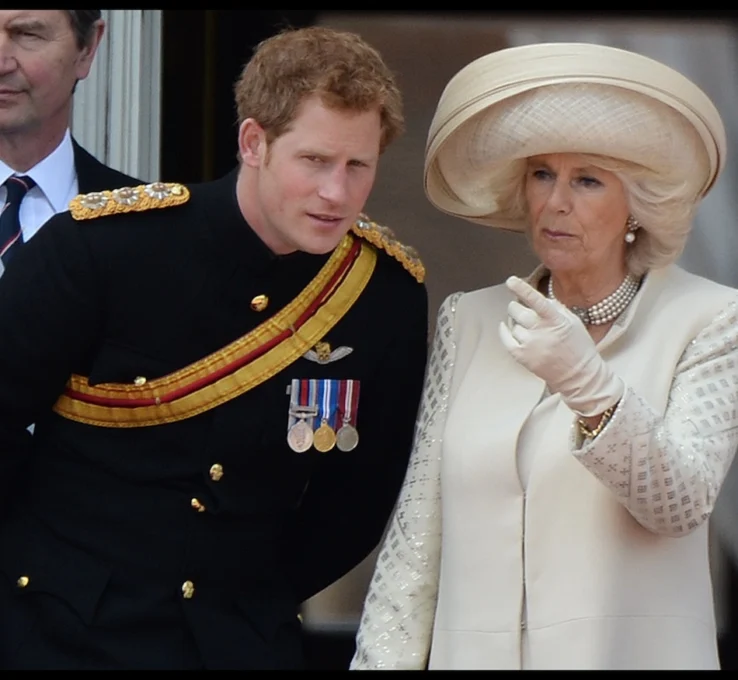 Prinz Harry soll kein gutes Verhältnis zu Königin Camilla haben