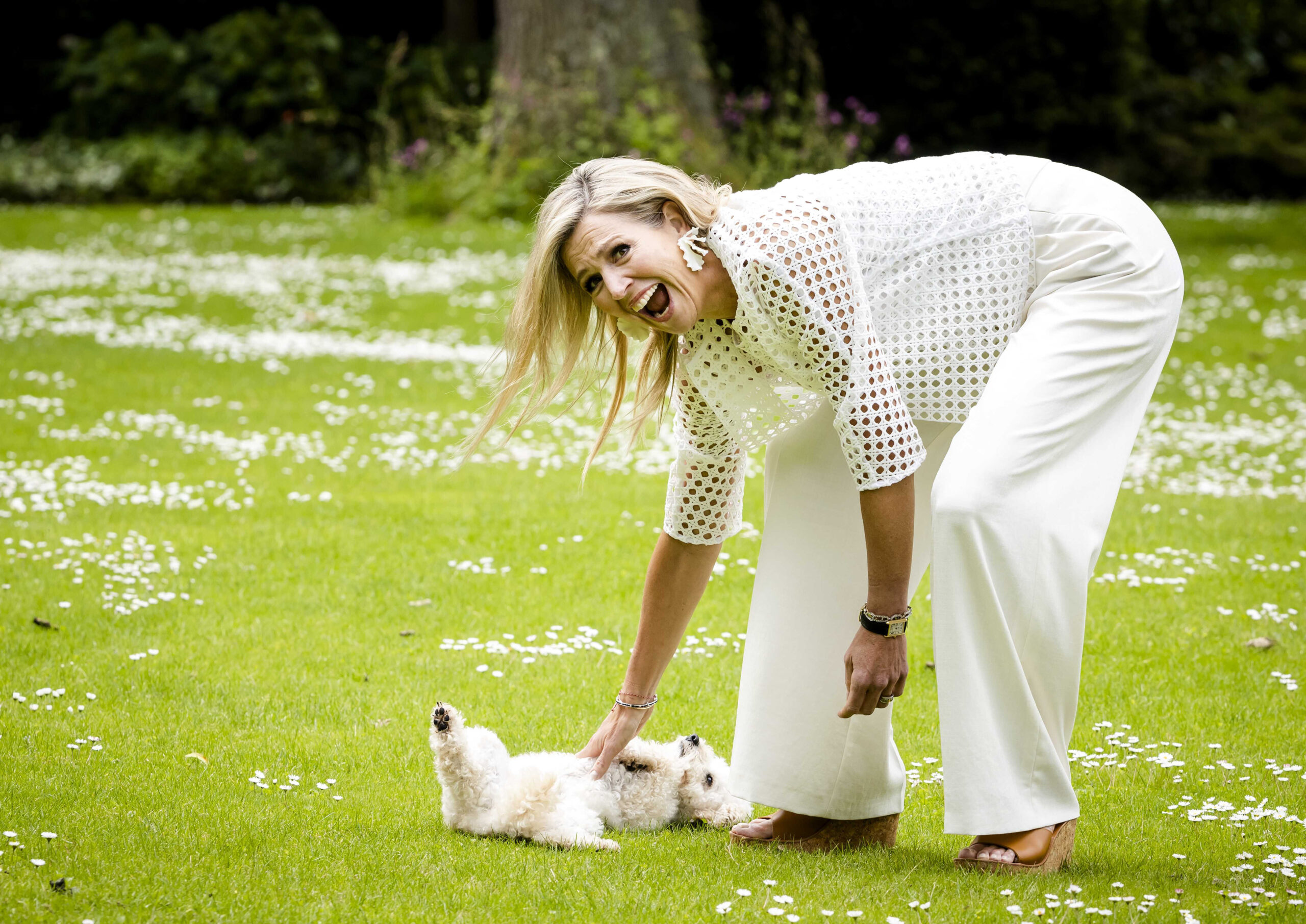 Königin Maxima und Zwergpudel Mambo. Der Hund lebt seit 2021 bei den Royals.