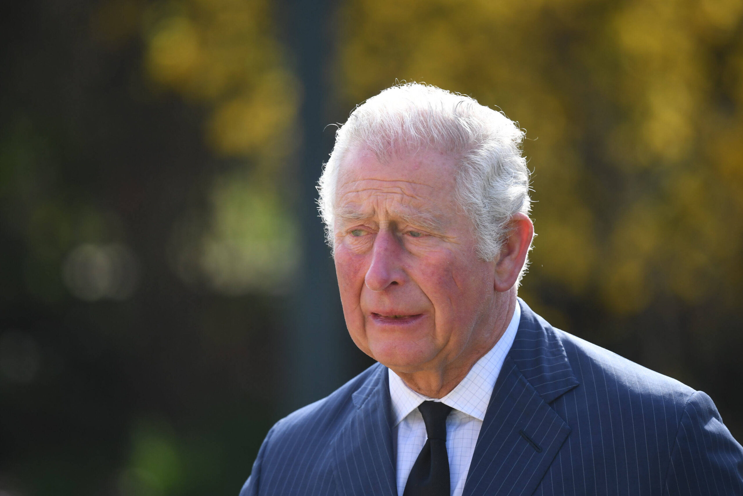 Britische Royals wie König Charles sind schockiert von Messerattacke