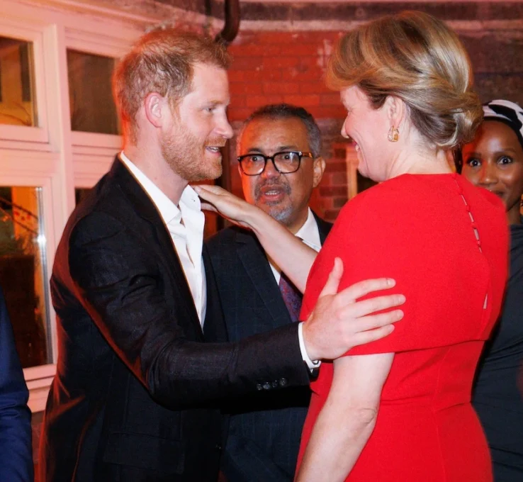 Königin Mathilde und Prinz Harry in New York bei einem Treffen für die WHO