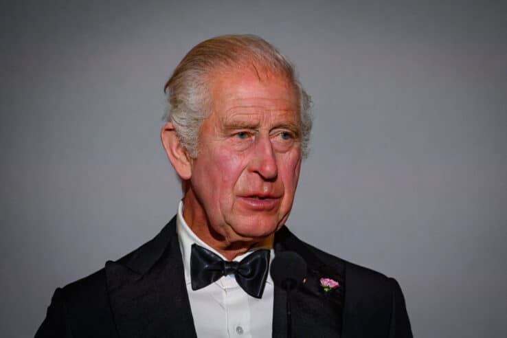König Charles hat Krebs: Gesundheitsupdate